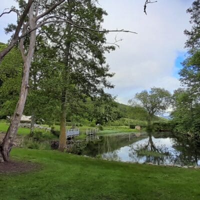 Pond for Trout Fishing - adam 3