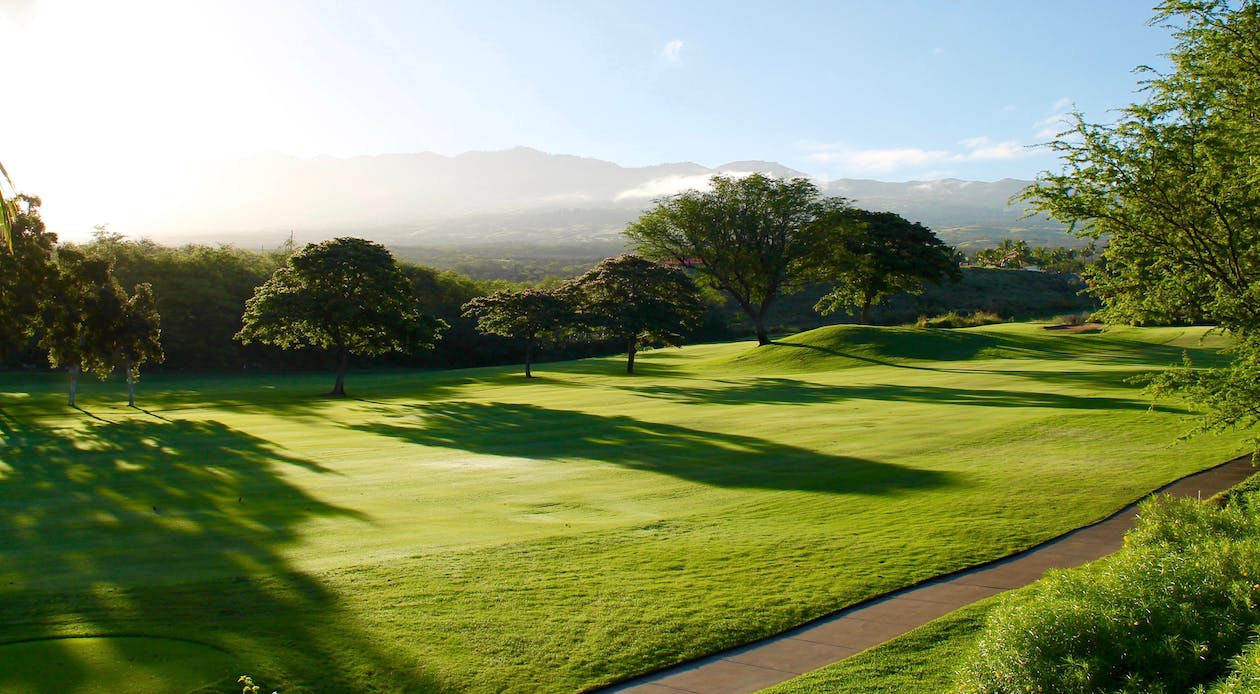 Home - golfcourse