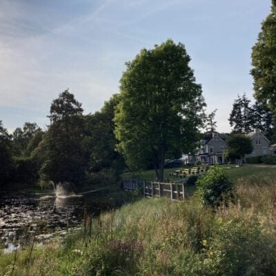 6 Acres - IMG 2374